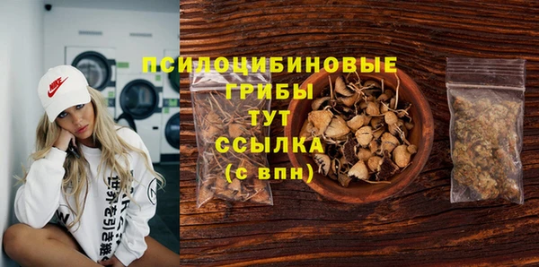 эйфоретик Арсеньев