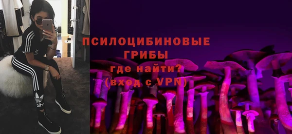 эйфоретик Арсеньев