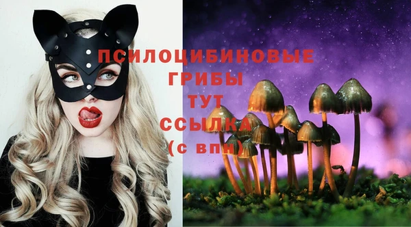 эйфоретик Арсеньев