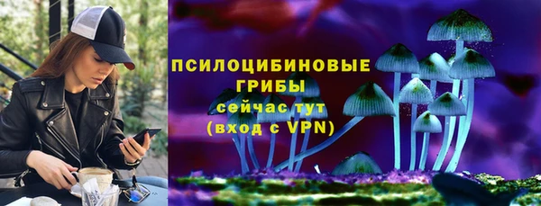 эйфоретик Арсеньев